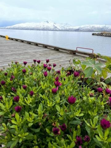 2. Etg I Dampskipsbrygga, Lodingen Havn ภายนอก รูปภาพ